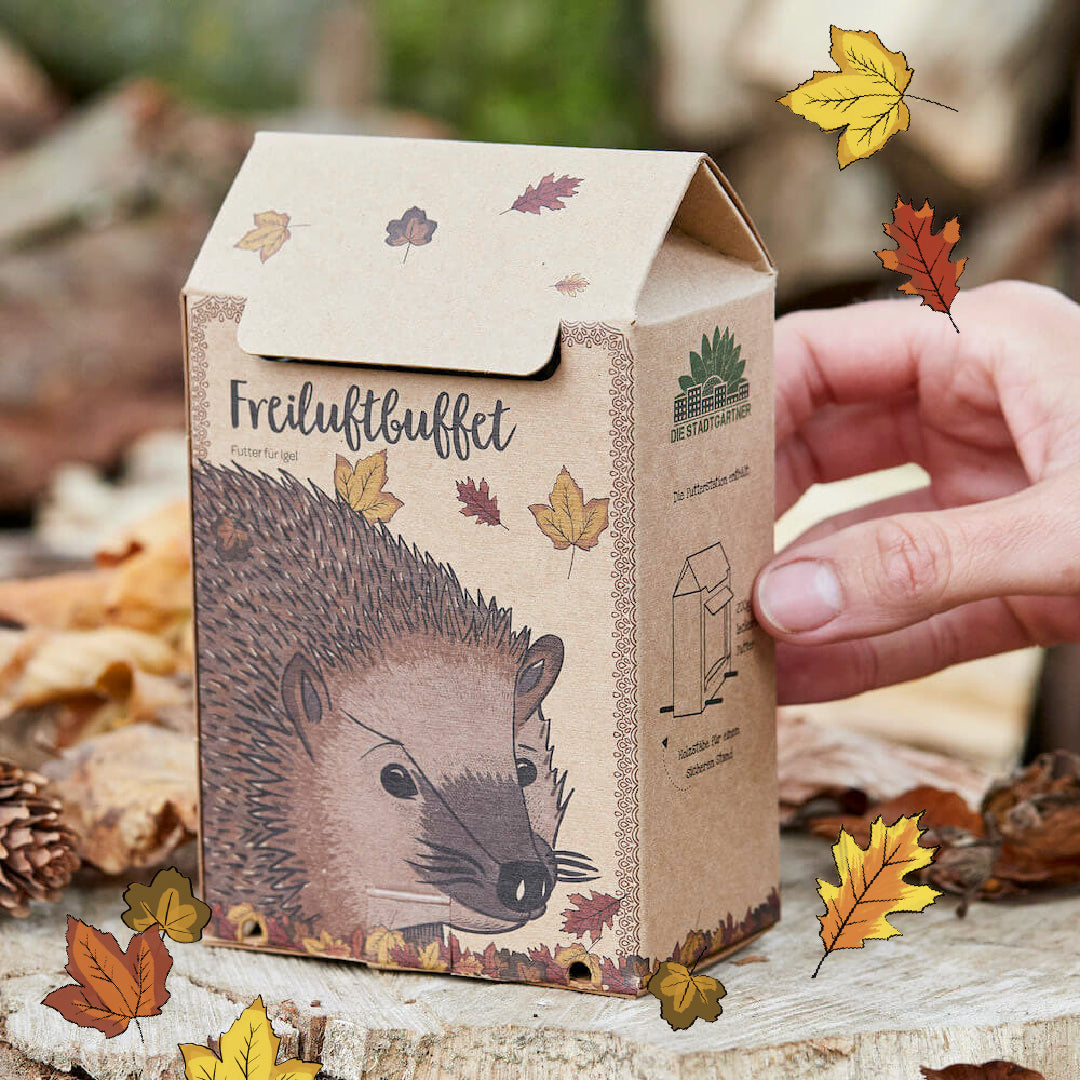 Pappschachtel mit Igel-Illustration und der Aufschrift "Freiluftbuffet", daneben eine Hand und Herbstblätter.