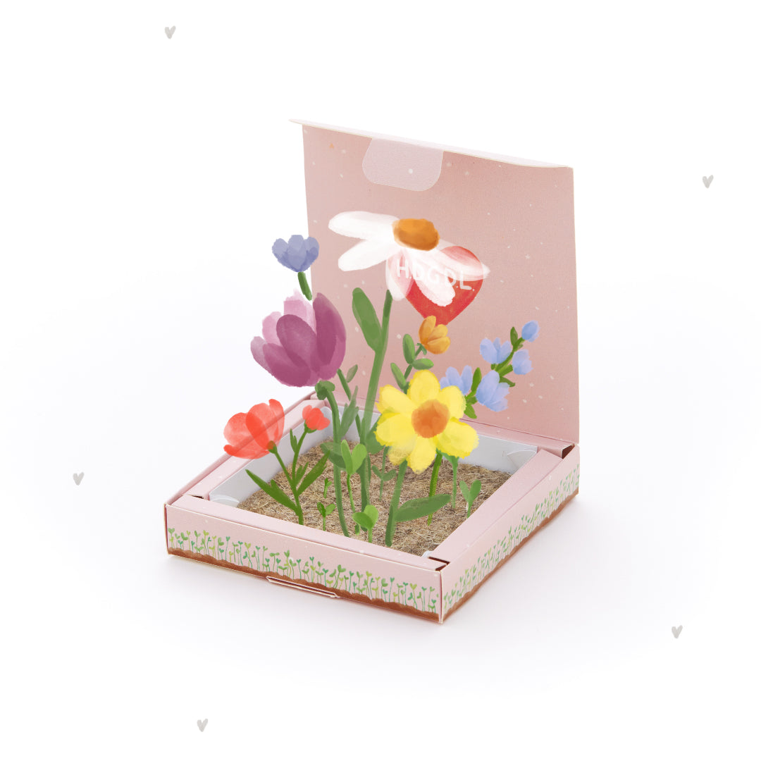 Plant Box - HDGDL - Love You Very Much