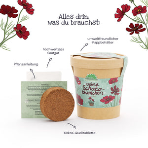 Set mit einem umweltfreundlichen Pappbehälter, einer Kokos-Quelltablette, hochwertigem Saatgut und einer Pflanzanleitung für Schokoblümchen, dekoriert mit Blumenmotiven.