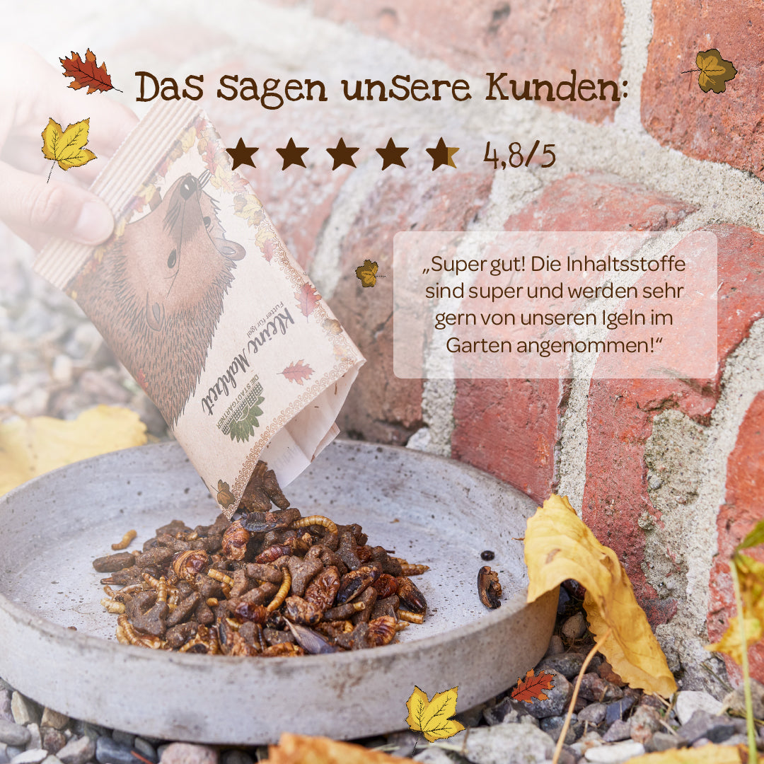 Eine Hand schüttet einen Beutel mit getrocknetem Insektenfutter in eine Schale auf dem Boden neben einer Backsteinmauer aus; auf der Verpackung ist ein gezeichneter Igel abgebildet. Im Bild sind eine Kundenbewertung und herbstliche Blätter zu sehen.