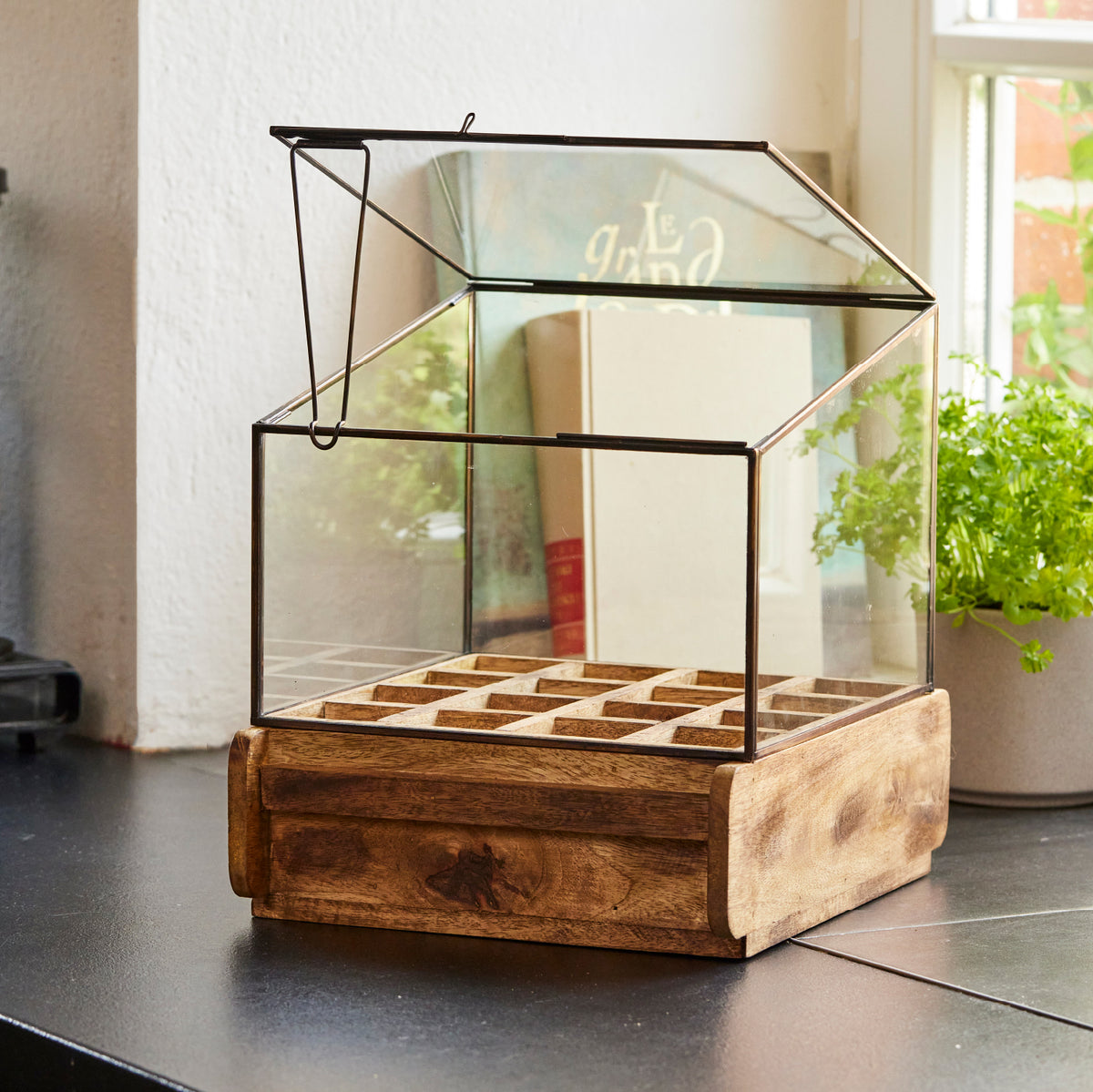 Kleines Gewächshaus aus Glas und Holz auf einer Küchenarbeitsplatte, im Hintergrund ein Topf mit frischen Kräutern.