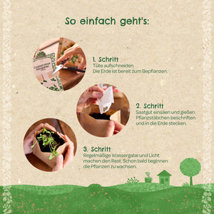 Anleitung zur Aussaat von Cocktail-Minze: Tüte aufschneiden, Samen in Erde geben, gießen, beschriften und regelmäßig pflegen, damit die Pflanzen wachsen.