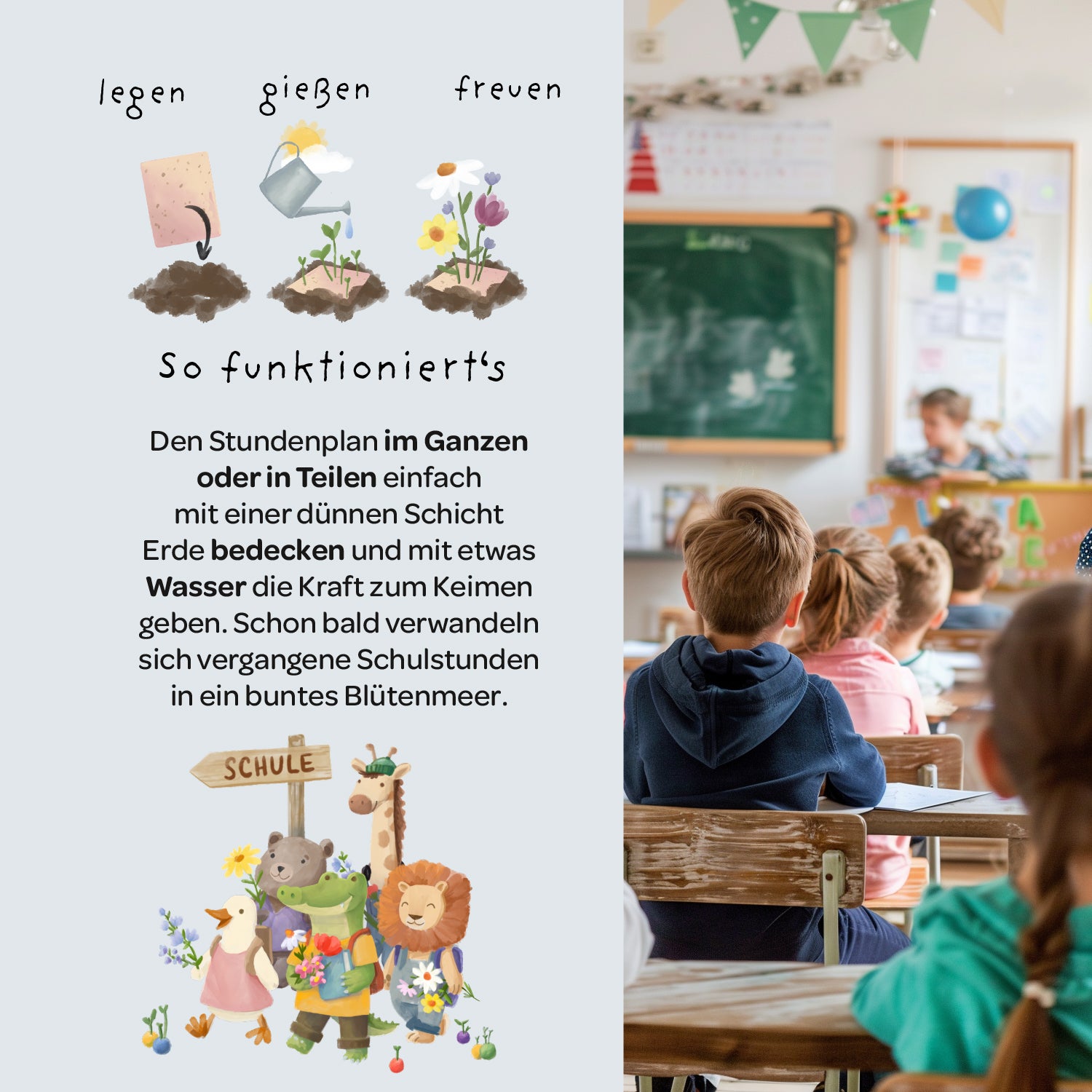 Growing timetable