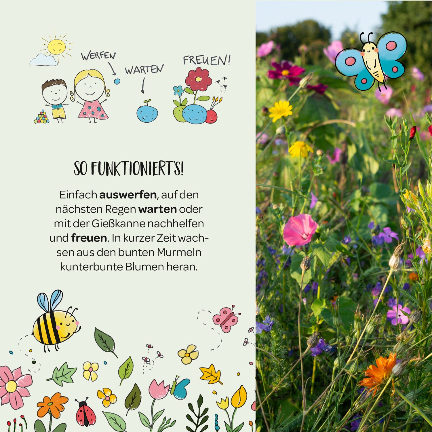 Illustration mit Kindern, die Samen auswerfen, warten und sich über Blumen freuen; daneben eine blühende Blumenwiese mit Schmetterling und gezeichneten Insekten.
