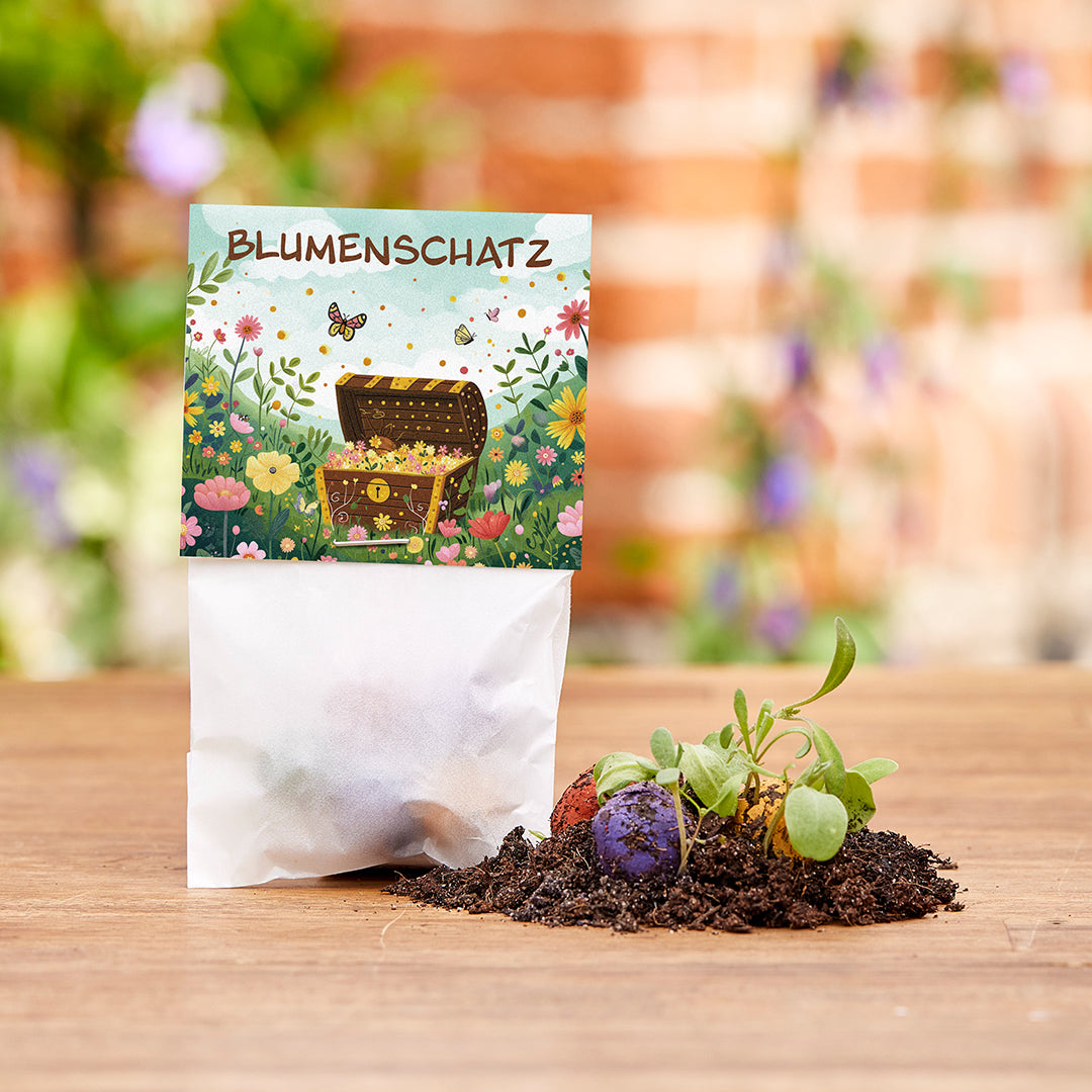 Tüte mit der Aufschrift „Blumenschatz“ und bunte Samenbomben, daneben junge Pflanzentriebe auf Erde.