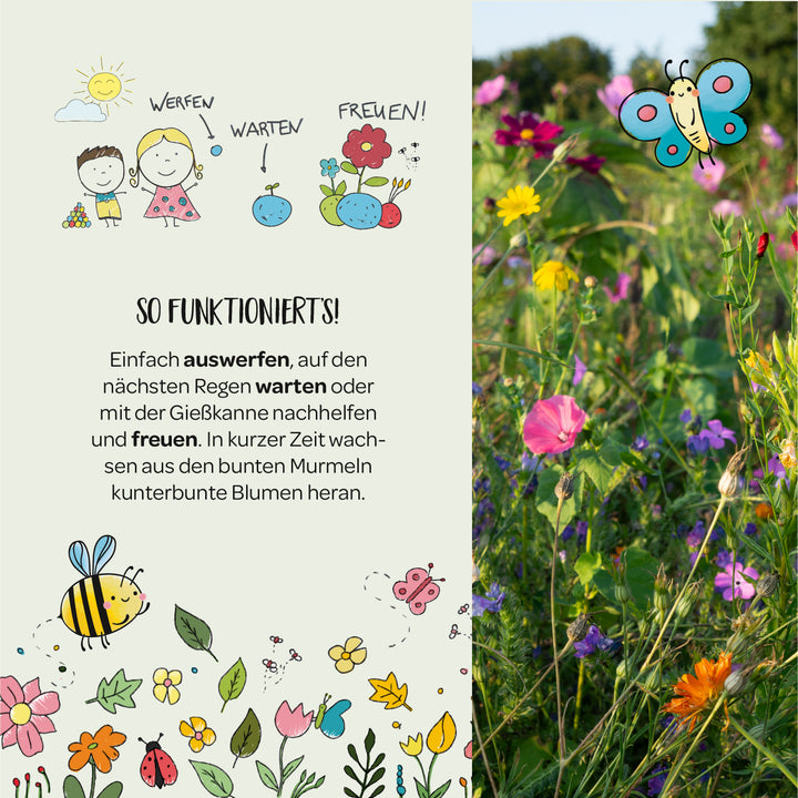 Linke Seite: Anleitung mit gezeichneten Figuren, Blumen und Tieren, die erklären, wie man Blumensamen auswirft, wartet und sich über bunte Blumen freut. Rechte Seite: Bunte Blumenwiese mit Schmetterlings-Illustration.