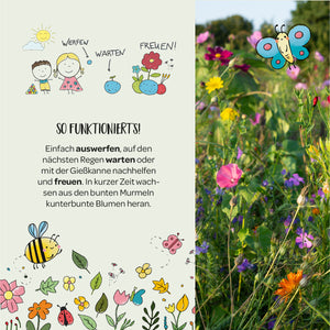 Illustration von Kindern, Blumen, einer Biene und einem Schmetterling mit Anleitung zum Blumen säen und ein Foto einer bunten Blumenwiese.