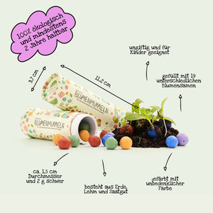 Daten zu den Kinder Seedbombs