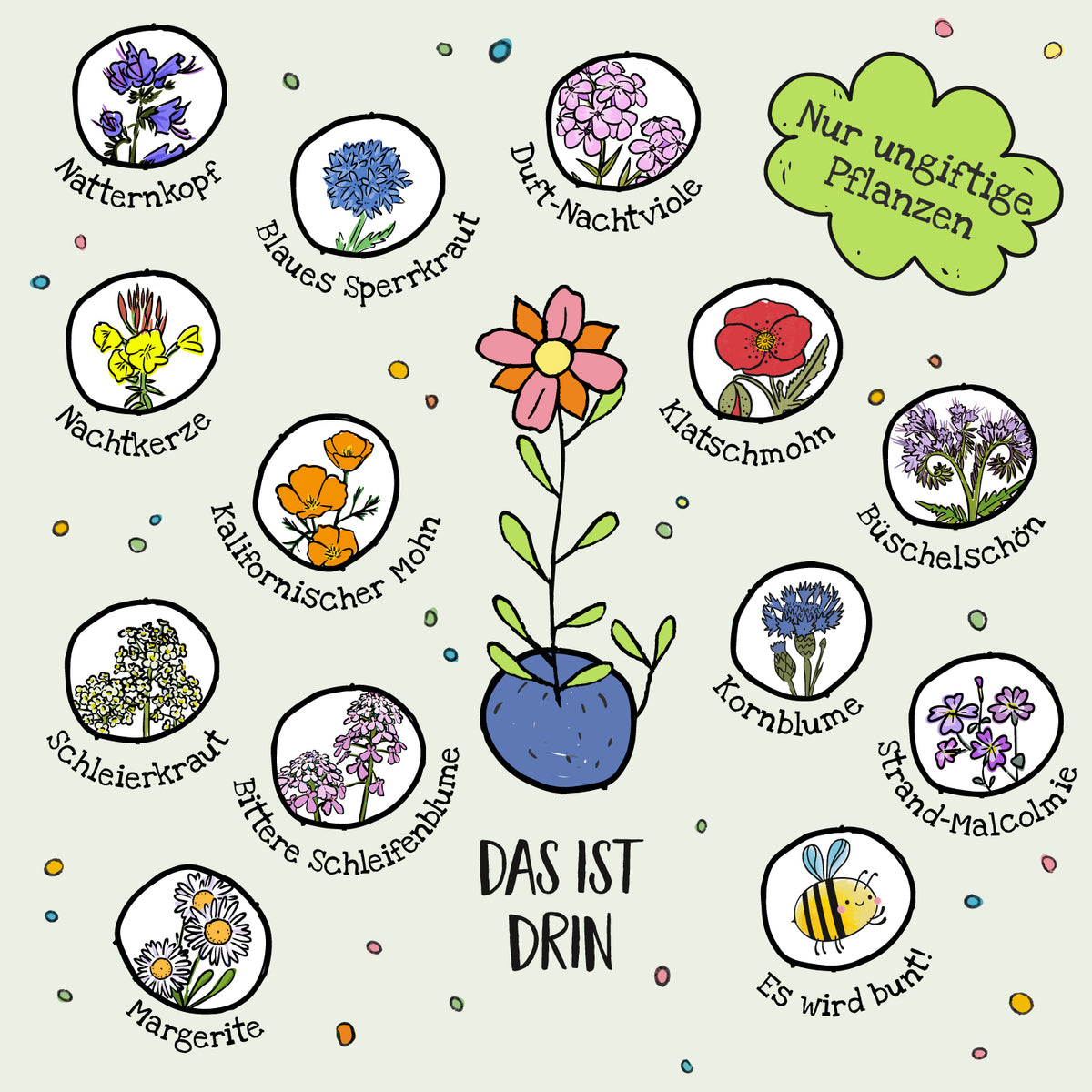 Illustration von ungiftigen Blumenarten in deutschen Kreisen benannt, darunter Klatschmohn, Nachtkerze, Kornblume, Margerite und weitere; in der Mitte ein bunter Blumenstrauß mit Topf, begleitet von dem Text "Nur ungiftige Pflanzen" und "Das ist drin".