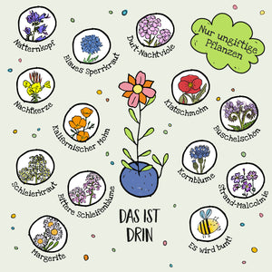 Illustration mit verschiedenen ungiftigen Blütenpflanzen, ihre Namen wie Natternkopf, Kornblume und Kalifornischer Mohn stehen daneben, in der Mitte eine bunte Blume im Blumentopf und der Text „Nur ungiftige Pflanzen“ und „Das ist drin“.