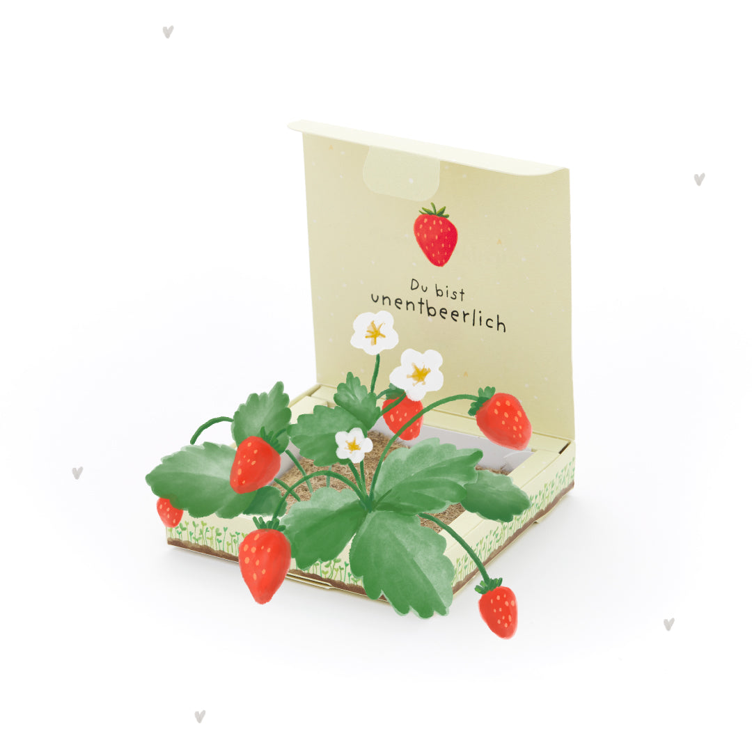 Plant Box - Unbeeryable