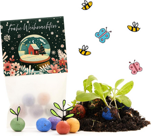 Tüte mit der Aufschrift "Frohe Weihnachten", bunten Samenbomben, Erde, sprießenden Pflanzen und gezeichneten Bienen und Schmetterlingen.