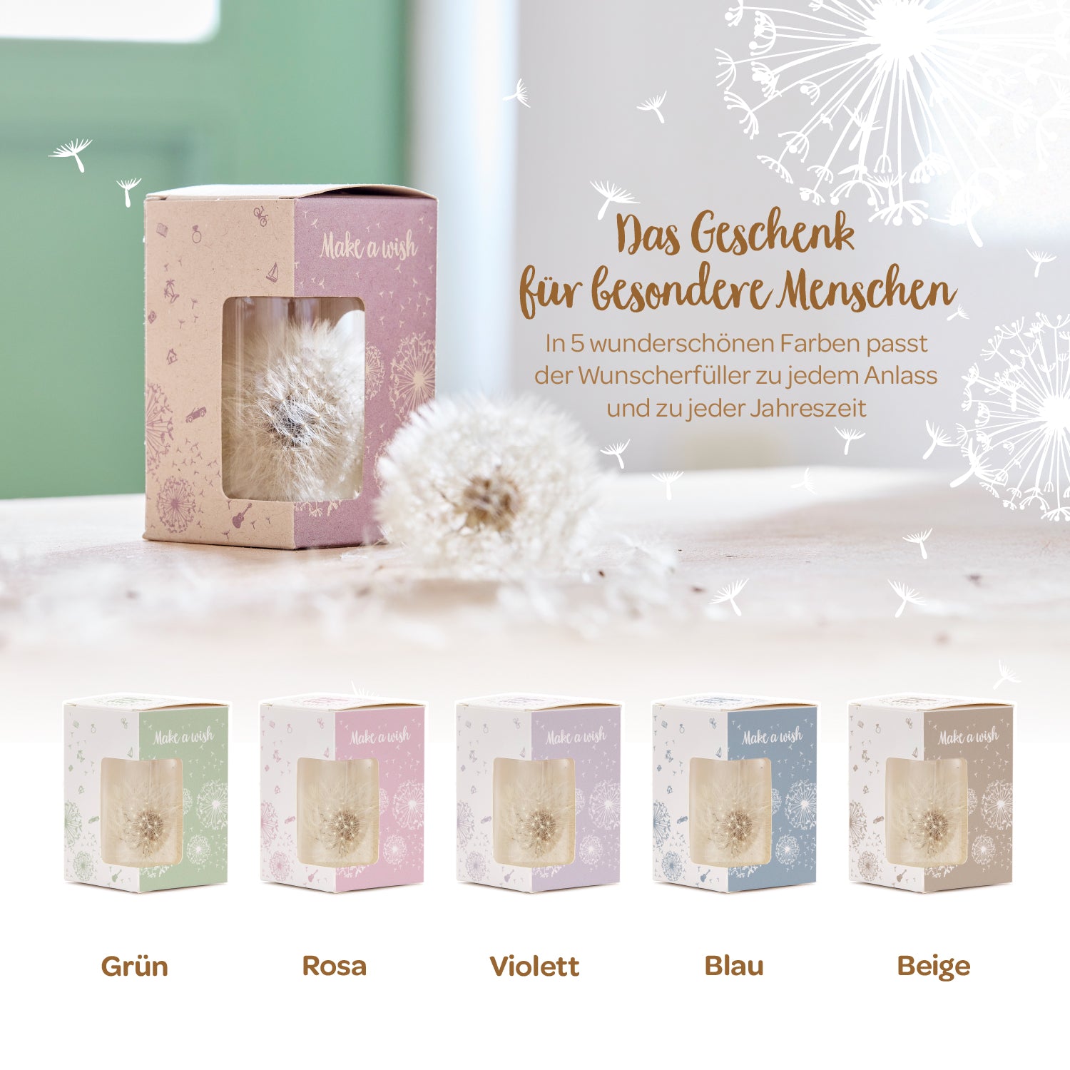 Fünf Geschenkboxen mit Pusteblumen in verschiedenen Farben (Grün, Rosa, Violett, Blau, Beige) als dekorative Wunsch-Erfüller, präsentiert auf einem Tisch, daneben der Text "Das Geschenk für besondere Menschen".