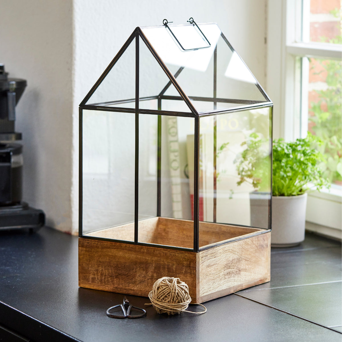 Glas-Gewächshaus mit Holzrahmen steht auf einer Küchenarbeitsplatte, daneben liegen eine Schere und eine Rolle Bindfaden; im Hintergrund ein Kräutertopf auf der Fensterbank.