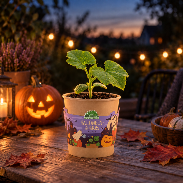 Halloween Pumpkin - Mug