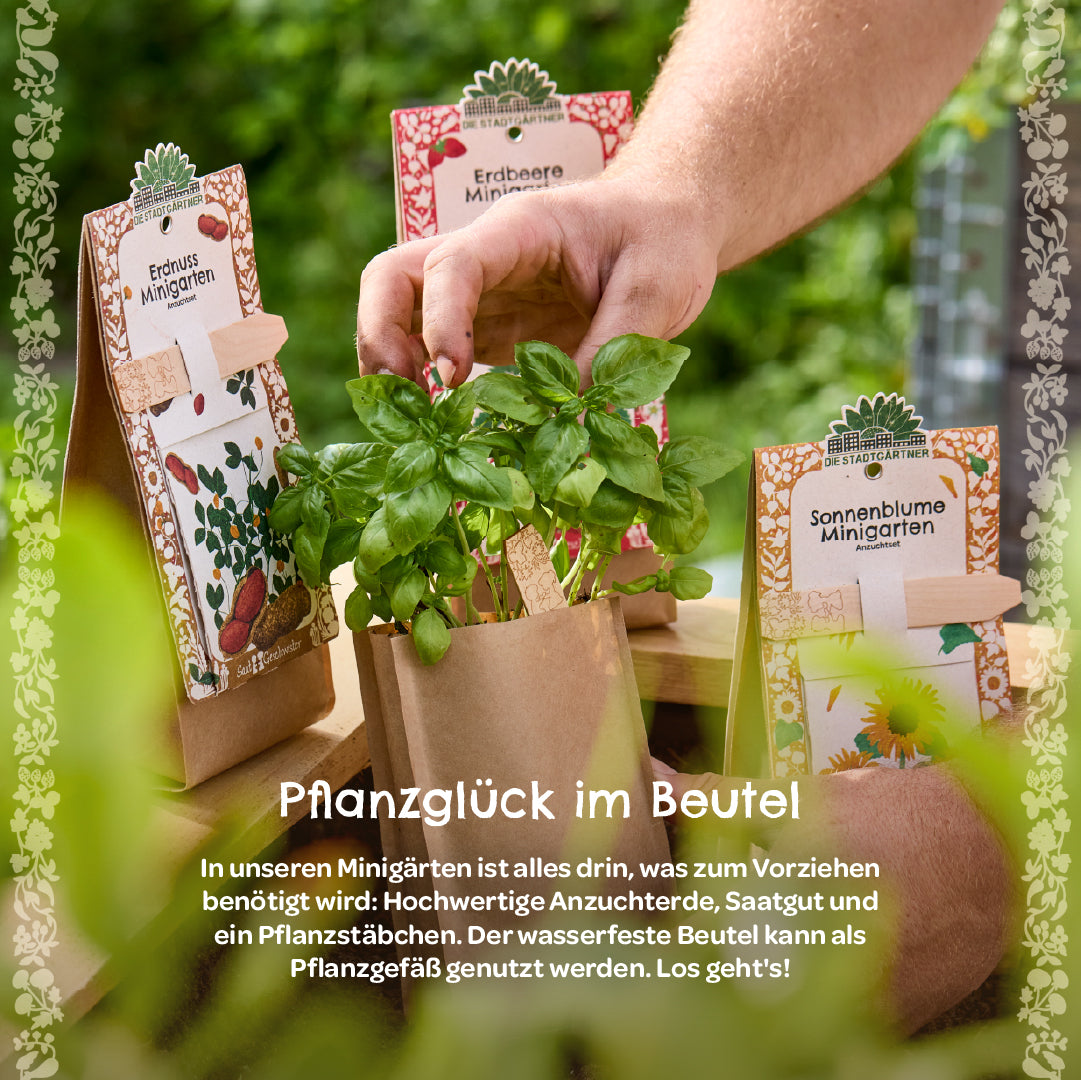 Eine Hand greift nach einem grünen Basilikum-Minipflanzbeutel, daneben stehen weitere Minigarten-Sets für Erdnüsse, Erdbeeren und Sonnenblumen in braunen Beuteln. Im Hintergrund grüne Pflanzen und Natur.