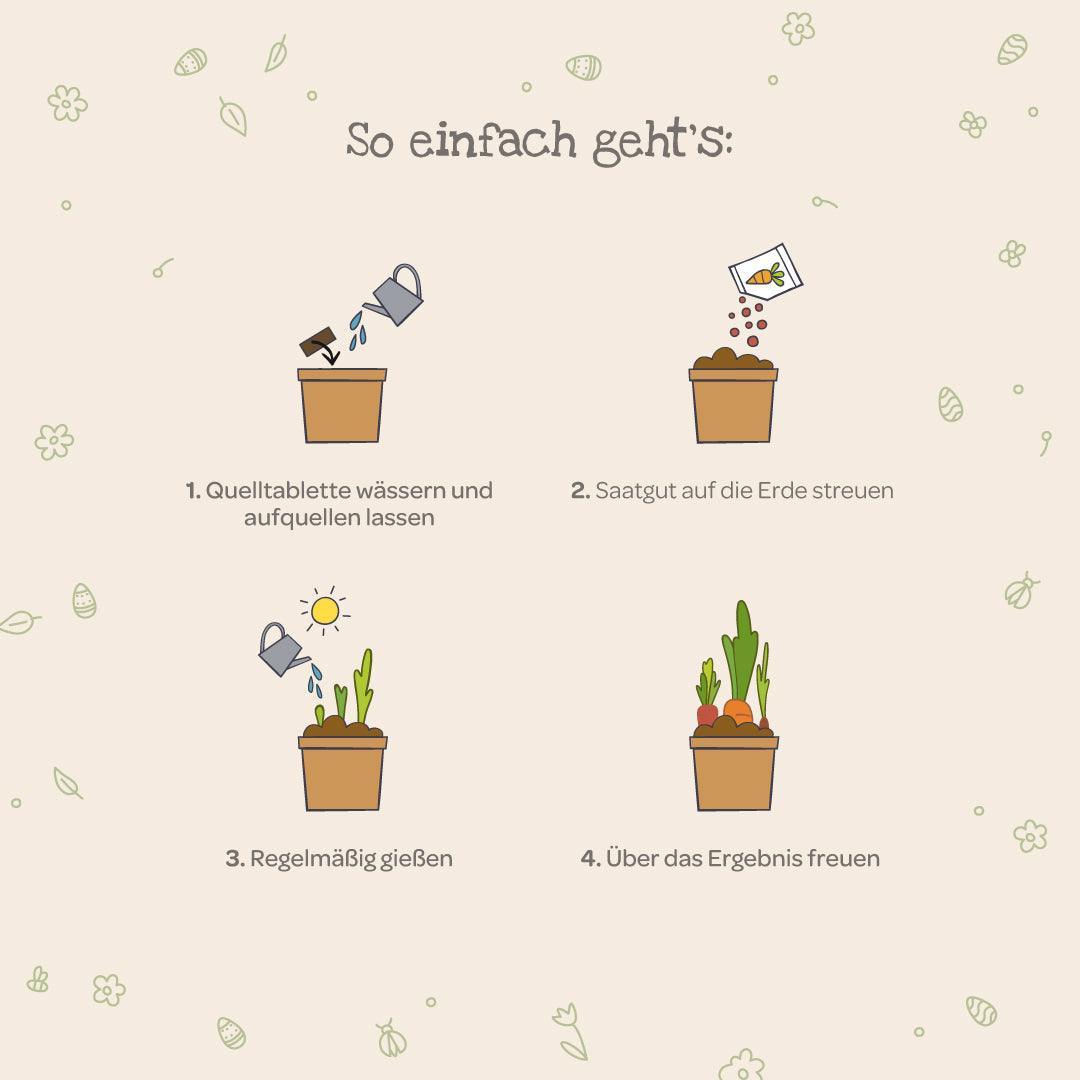 Vier einfache Schritte zum Pflanzenanbau mit Illustrationen: Quelltablette wässern, Saatgut streuen, regelmäßig gießen, über das Wachstum freuen.
