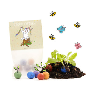 Ostergeschenk mit bunter Samenmischung, einer „Frohe Ostern“-Karte mit Hase, Samenbällchen und jungen Pflanzen, umgeben von gezeichneten Bienen und Schmetterlingen.