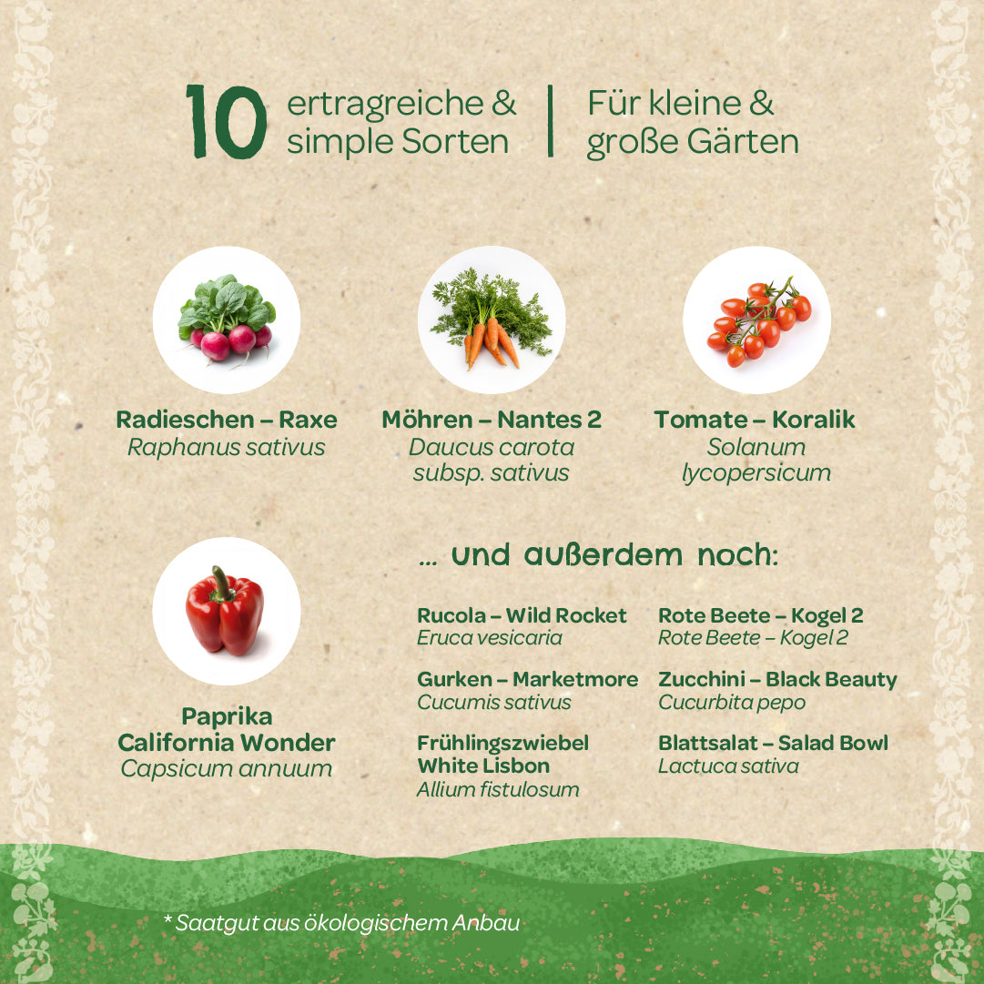 Informationsgrafik mit Bildern von Radieschen, Möhren, Tomaten und Paprika sowie einer Liste von zehn ertragreichen Gemüsesorten für kleine und große Gärten, mit deutschen und botanischen Namen.
