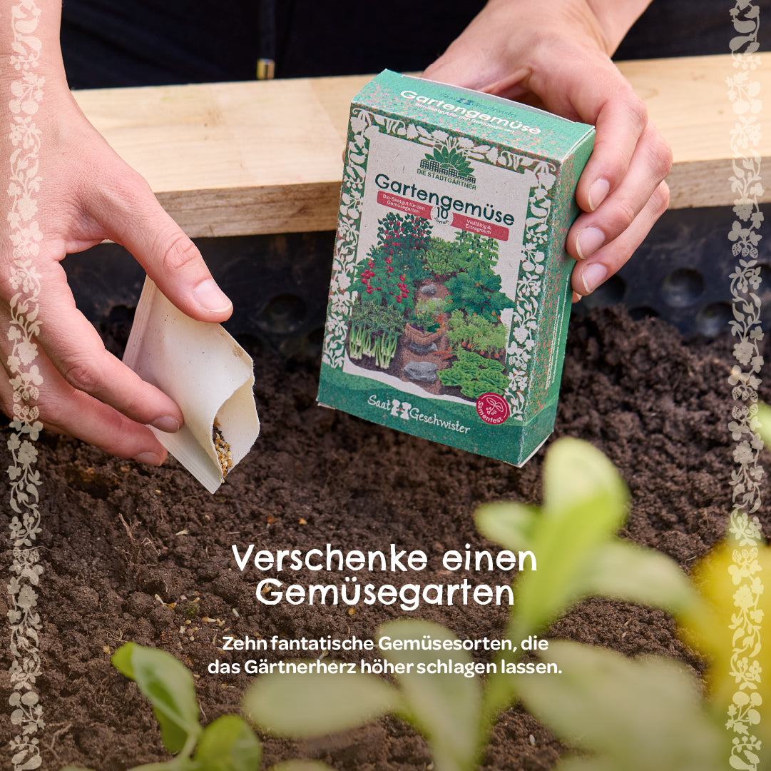 Zwei Hände pflanzen Gemüsesamen in die Erde, daneben eine Verpackung mit der Aufschrift "Gartengemüse".