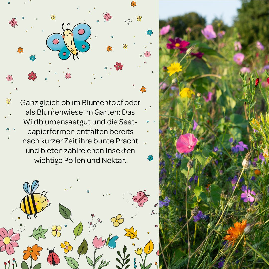 Linke Bildhälfte mit Text über Wildblumensaatgut, illustriert mit bunten Blumen, Schmetterlingen und Bienen; rechte Bildhälfte zeigt eine blühende bunte Blumenwiese im Garten.