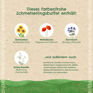 Infografik auf Deutsch mit verschiedenen Wildblumen wie Sonnenhut, Mohnblume, Borretsch und echter Kamille, die als Schmetterlingsbuffet vorgestellt werden, sowie einer Liste weiterer Blumenarten.