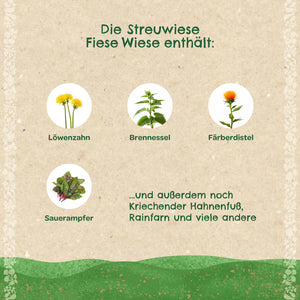 Grafik mit Abbildungen und Namen von Löwenzahn, Brennnessel, Färberdistel und Sauerampfer sowie Text, der weitere Pflanzen auf einer Streuwiese aufzählt.