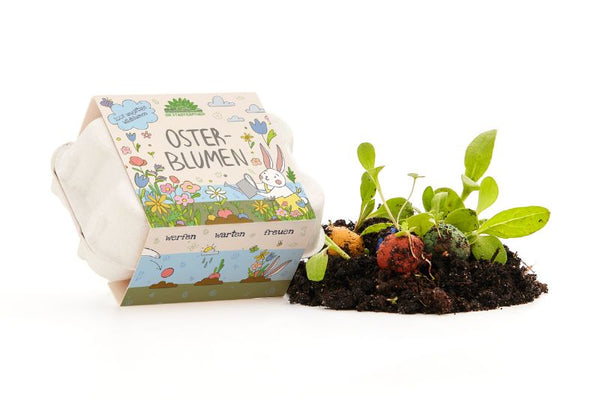 Small Easter nest - Set for little explorers