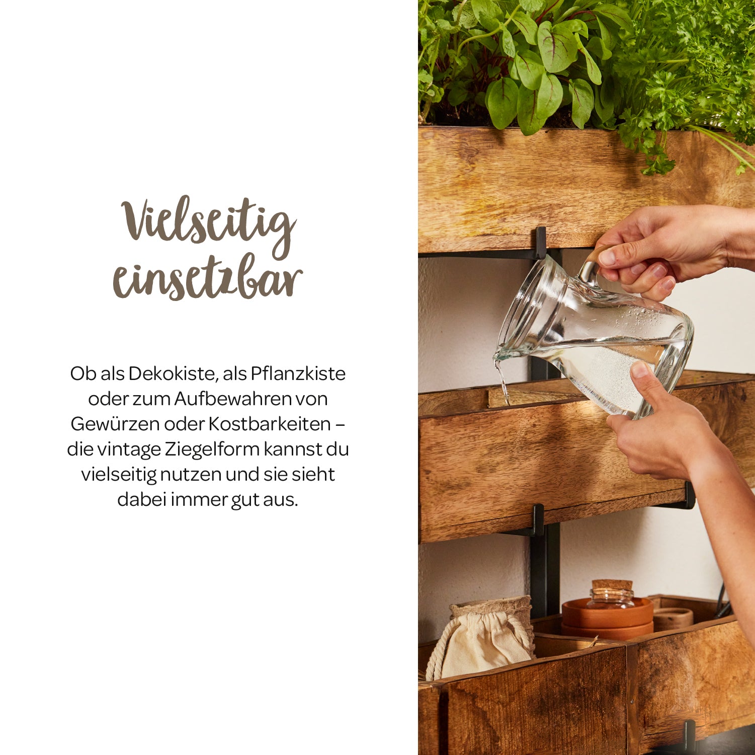 Hände gießen mit einer Wasserkaraffe Pflanzen in einer Holz-Pflanzkiste an einer Wand, daneben Text über die vielseitige Verwendbarkeit der Kiste.