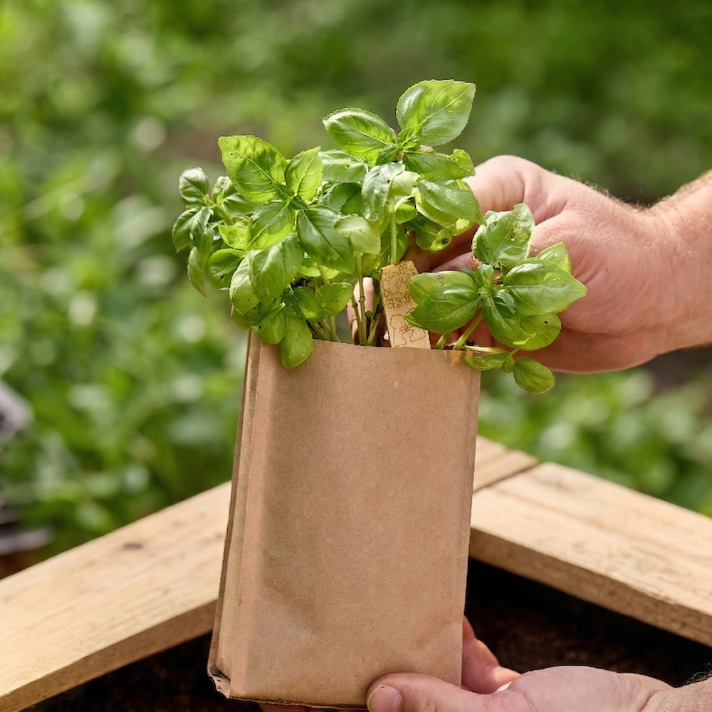 BIO Seedling Soil (600 g)