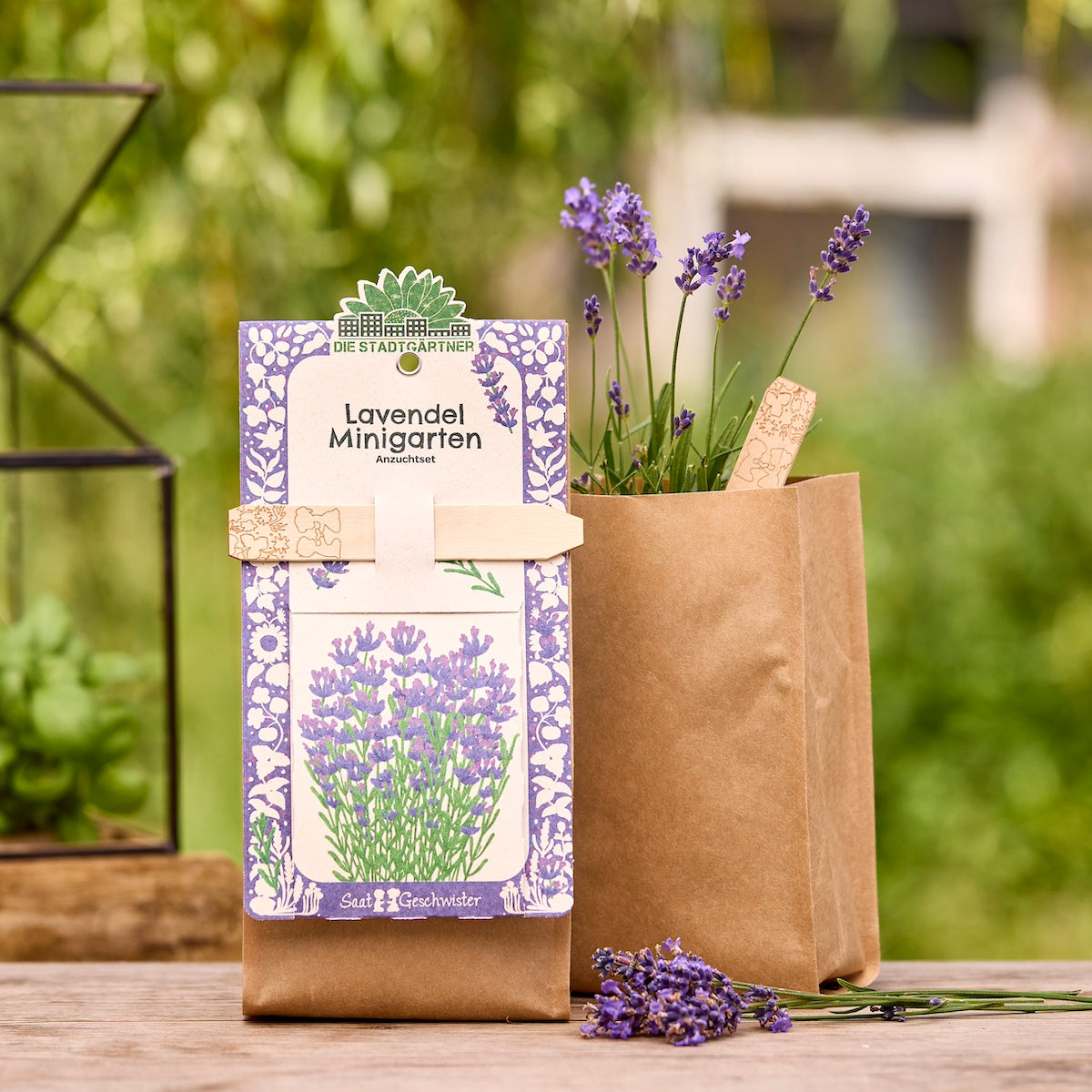 Anzuchtset für einen Lavendel-Minigarten in brauner Papiertüte, mit blühenden Lavendelzweigen im Hintergrund.