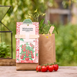 Anzuchtset für Wildtomaten in brauner Papiertüte mit Tomatenpflanze und reifen Cocktailtomaten auf einem Holztisch im Garten.