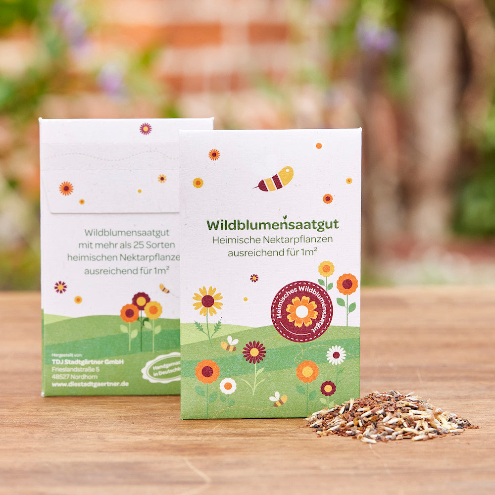 Wildflower seeds in a printed envelope as promotional material