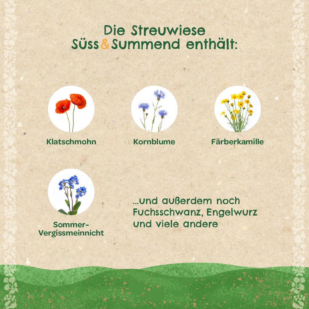 Informationsgrafik auf Deutsch mit Bildern von Klatschmohn, Kornblume, Färberkamille und Sommer-Vergissmeinnicht sowie Text zu weiteren enthaltenen Pflanzen der Streuwiese.
