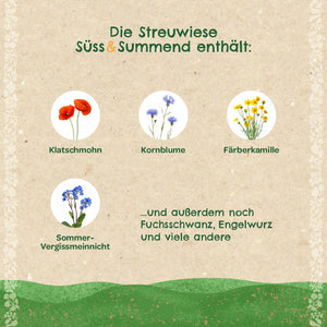 Informationsgrafik auf Deutsch mit Bildern von Klatschmohn, Kornblume, Färberkamille und Sommer-Vergissmeinnicht sowie Text zu weiteren enthaltenen Pflanzen der Streuwiese.