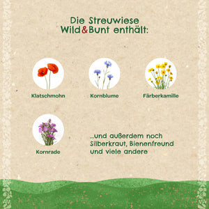 Abbildung mit Illustrationen von Klatschmohn, Kornblume, Färberkamille und Kornrade sowie Text über die enthaltenen Wildblumenarten einer Streuwiesenmischung.