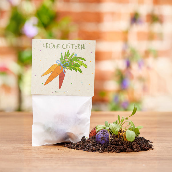 Ostergeschenk mit Karte "Frohe Ostern!", daneben Erde mit kleinen Pflanzen und bunten Samenbällen auf einem Holztisch.
