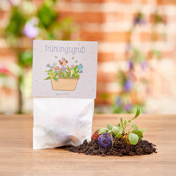 Eine kleine Tüte mit der Aufschrift "Frühlingsgruß" steht auf einem Holztisch, daneben liegen Erde, bunte Samenbomben und junge Pflänzchen.