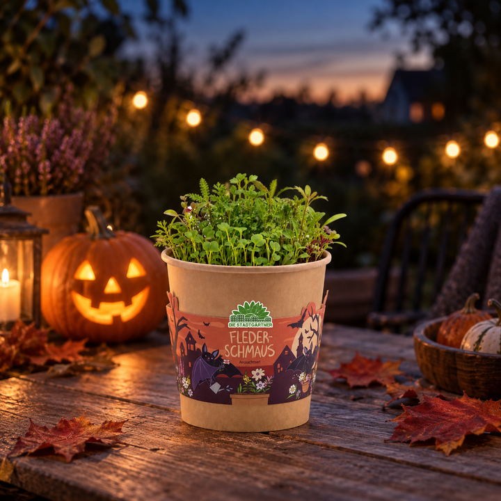 Bat Feast - Halloween Cup