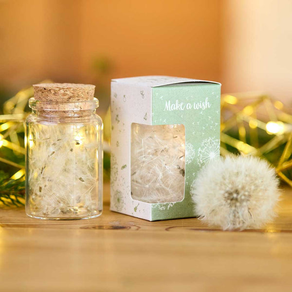 Wish-fulfiller with dandelion umbrella