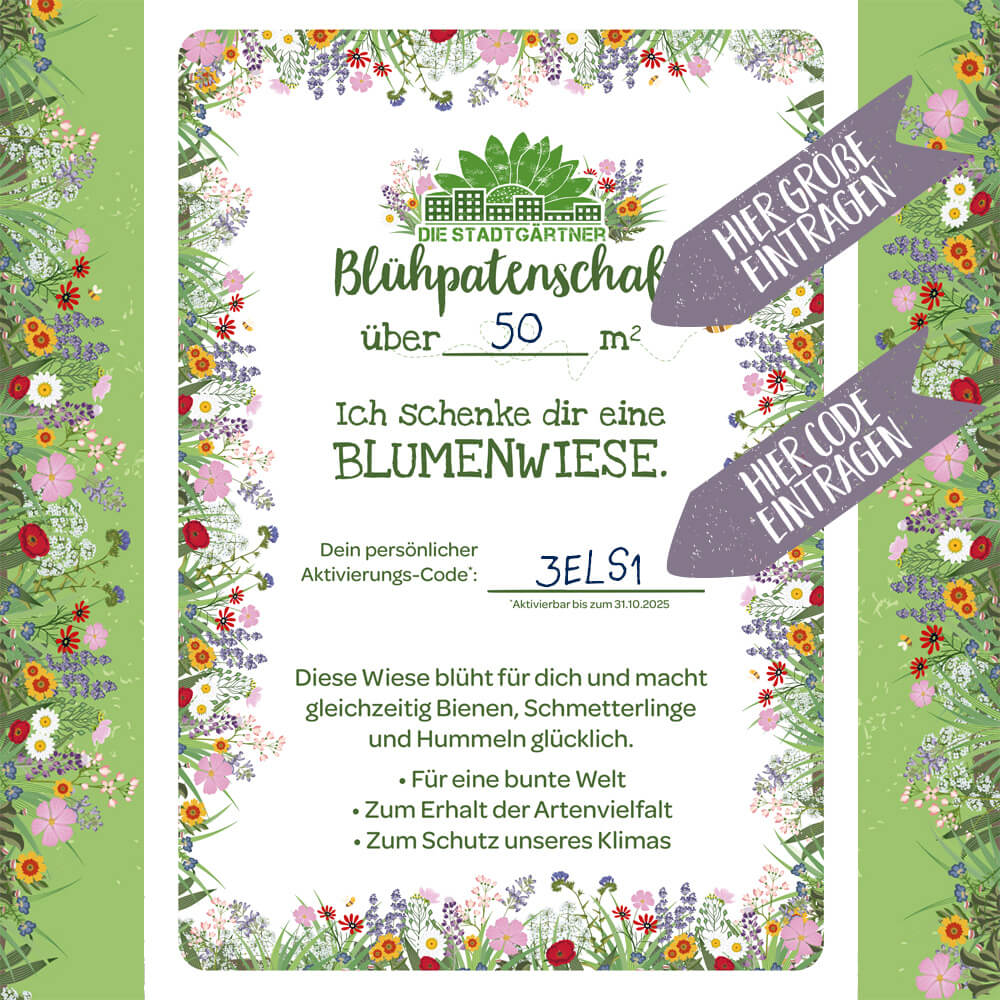 Blühpatenschaft-Urkunde mit Blumenwiesen-Motiv, Text für eine über 50 Quadratmeter große Blumenwiese, persönliche Aktivierungscode-Felder, bunte Rahmen mit Blumen und Hinweispfeilen "Hier Größe eintragen" und "Hier Code eintragen".