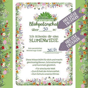 Blühpatenschaft-Urkunde mit Blumenwiesen-Motiv, Text für eine über 50 Quadratmeter große Blumenwiese, persönliche Aktivierungscode-Felder, bunte Rahmen mit Blumen und Hinweispfeilen "Hier Größe eintragen" und "Hier Code eintragen".