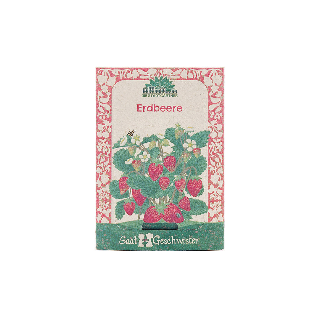 Saatgutpackung für Erdbeeren mit gezeichneter Erdbeerpflanze, Blüten und Früchten auf dem Etikett.