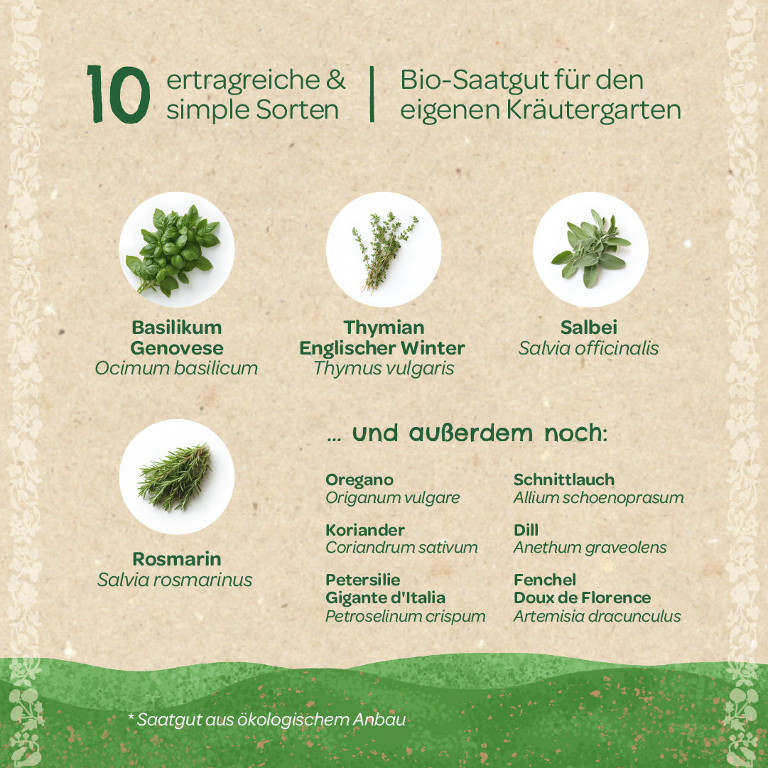 Grafik mit zehn einfachen und ertragreichen Kräutersorten aus Bio-Saatgut, darunter Basilikum, Thymian, Salbei und Rosmarin, sowie weitere aufgelistete Kräuter wie Oregano, Koriander und Schnittlauch.