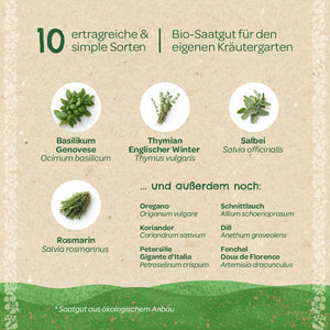 Grafik mit zehn einfachen und ertragreichen Kräutersorten aus Bio-Saatgut, darunter Basilikum, Thymian, Salbei und Rosmarin, sowie weitere aufgelistete Kräuter wie Oregano, Koriander und Schnittlauch.