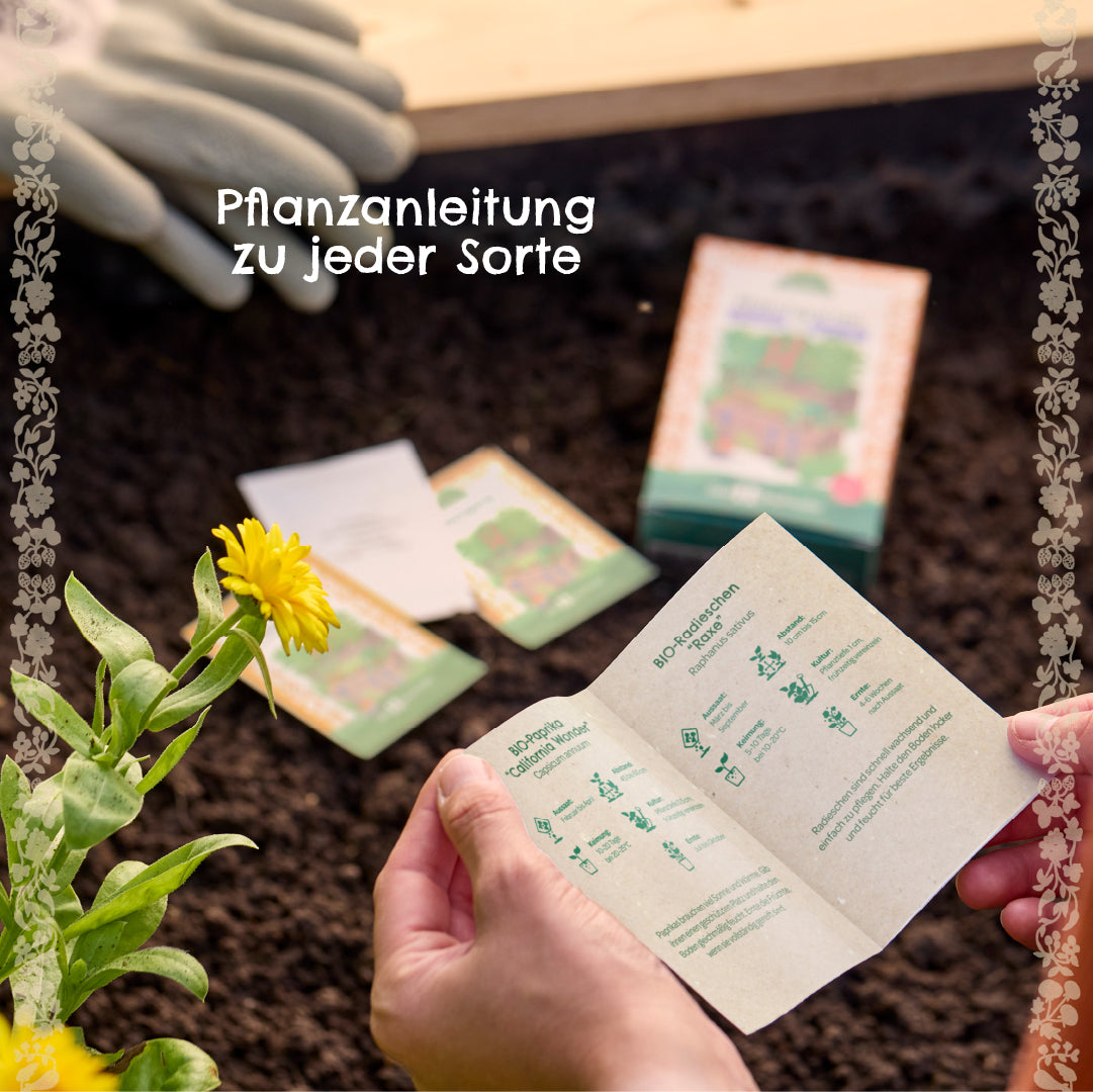 Hände halten eine Pflanzanleitung über Erde, im Hintergrund liegen Handschuhe, Saatgut und eine gelbe Blume.