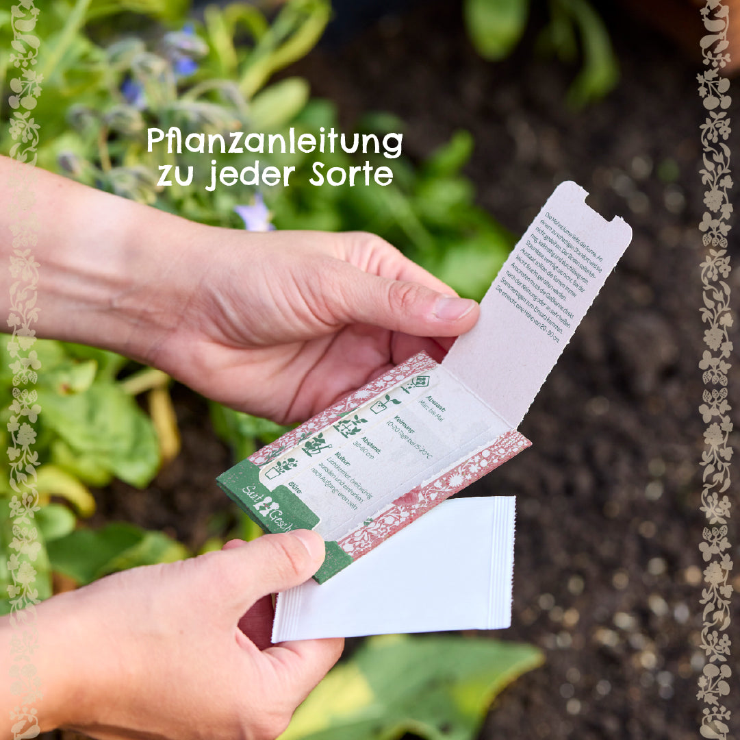 Zwei Hände halten eine Samentüte mit Pflanzanleitung; im Hintergrund sind grüne Pflanzen im Beet zu sehen.