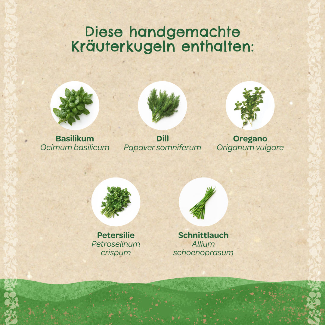 Bild mit fünf verschiedenen Kräutern: Basilikum, Dill, Oregano, Petersilie und Schnittlauch, jeweils mit botanischem Namen, und dem Text "Diese handgemachte Kräuterkugeln enthalten".