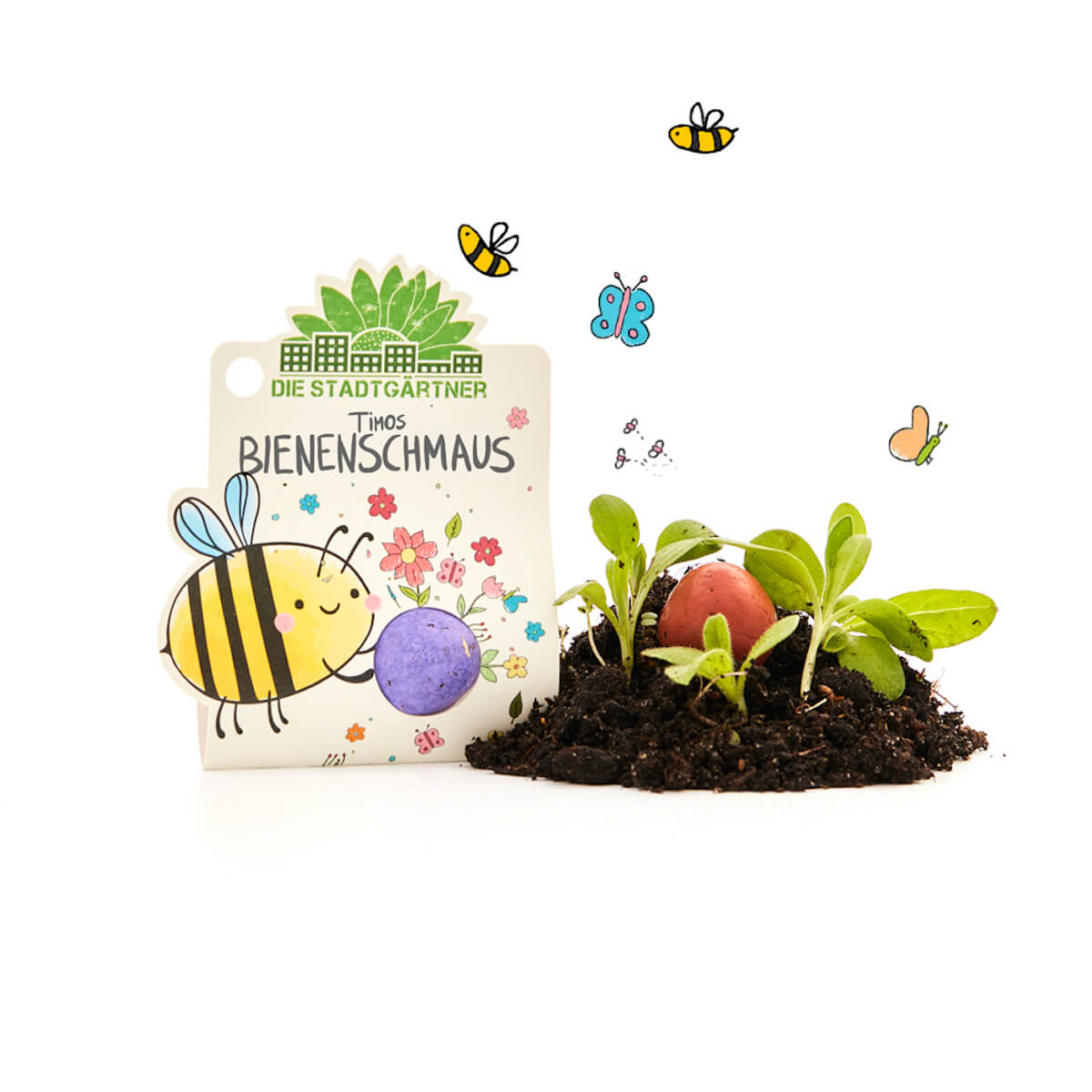 Pflanzset mit Samen, Erde und Keimlingen, dekoriert mit einer bunten Zeichnung einer Biene, Blumen und Schmetterlingen; Schriftzug „Die Stadtgärtner - Timos Bienenschmaus“.