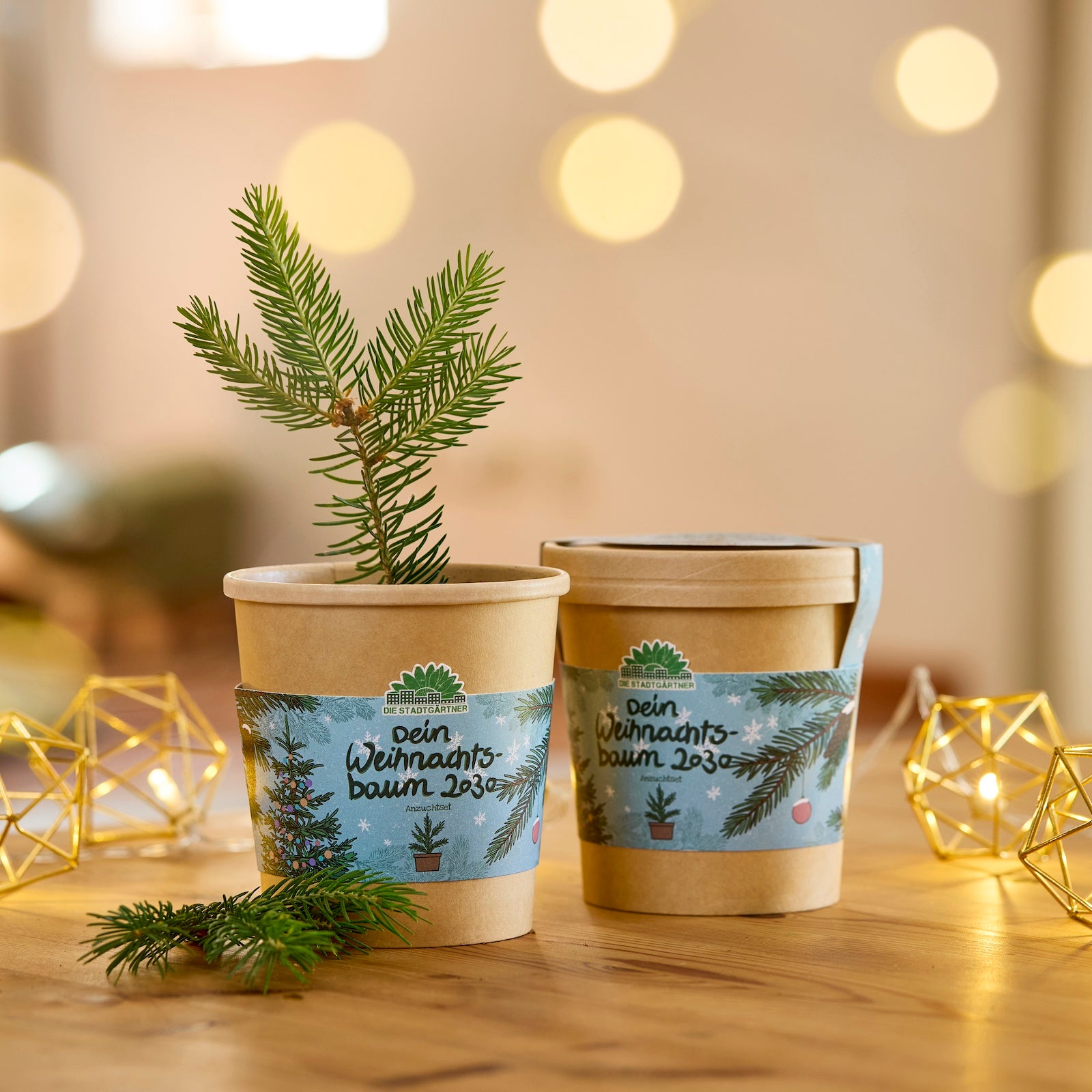 Zwei braune Pflanztöpfe mit Aufschrift "Dein Weihnachtsbaum 2030", einer mit einem kleinen Tannenzweig, auf einem Holztisch mit Lichterkette im Hintergrund.